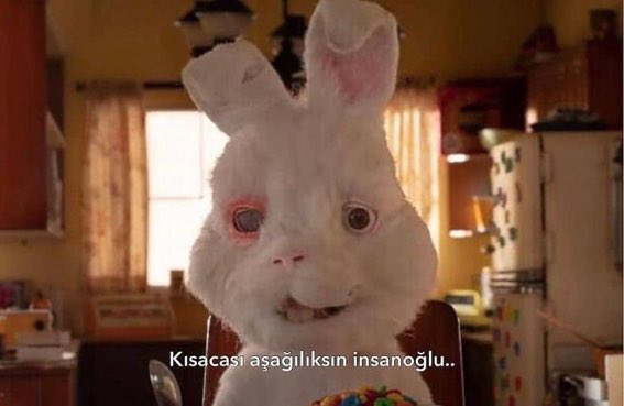 osmantigci's tweet image. Günaydın