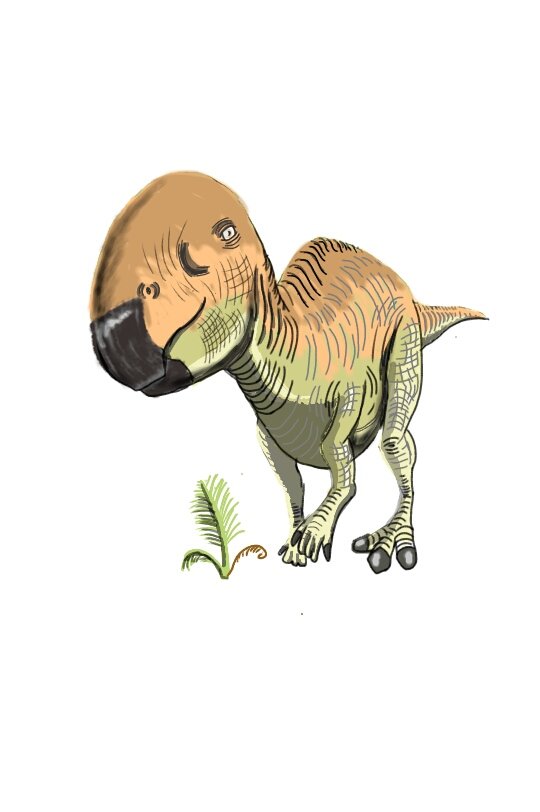 Twoucan トゥリアサウルス の注目ツイート イラスト マンガ コスプレ モデル