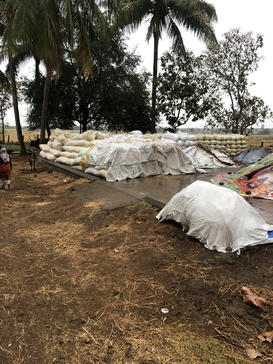 for the  #farmer. The broker or  #arhatiya came in an old motorcycle carrying the weighing machine. . If he sells to mill he gets ~10/bag. No cleaning , just loading, sending and gets cash within a week. 11. For committee he has to store in some place, sometimes in an open place