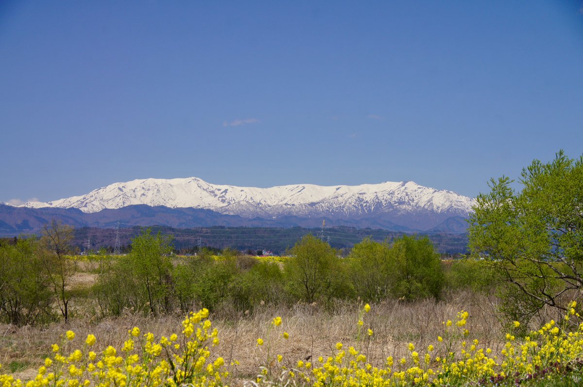 kokokarincyo tweet media