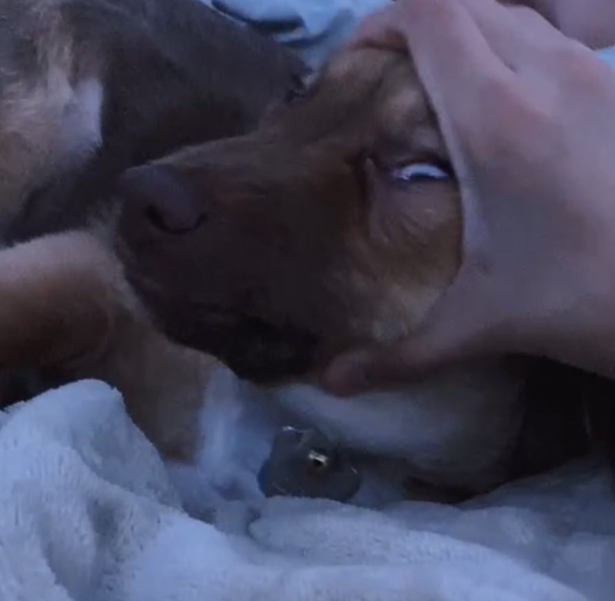 michael 🦪 tweet media