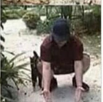 6 Ay boyunca sahibini görmeyen kedinin sahibiyle buluştuğu anda verdiği tepki