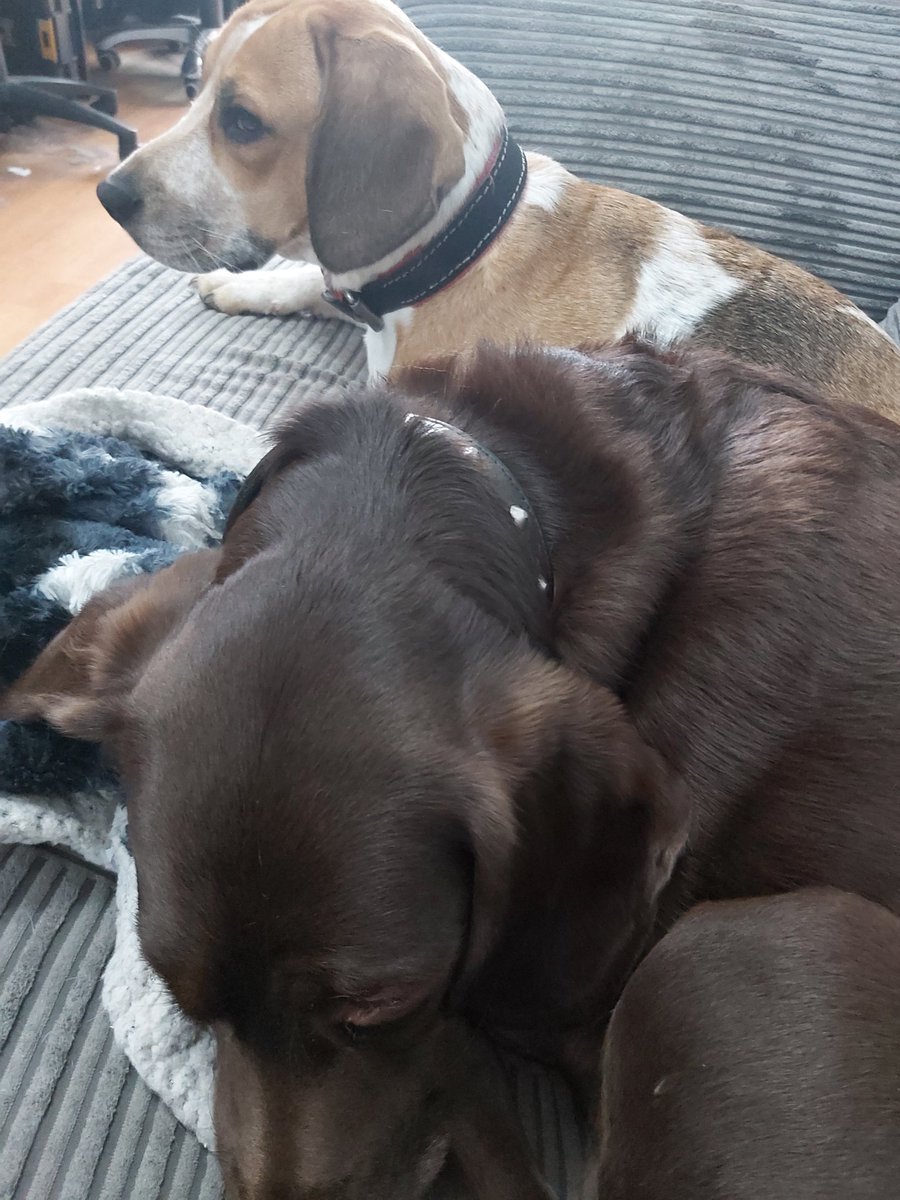 Torranbrown's tweet image. Good morning  lovely sunny day say safe