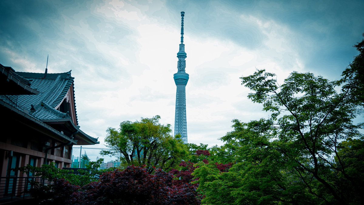 東京歴史倶楽部 浅草の待乳山聖天から見た東京スカイツリー 松乳山は標高10mで 東京23区内で一番低い標高の山です