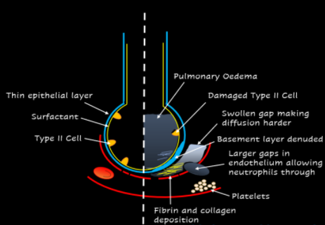 The Critical Care Practitioner tweet media
