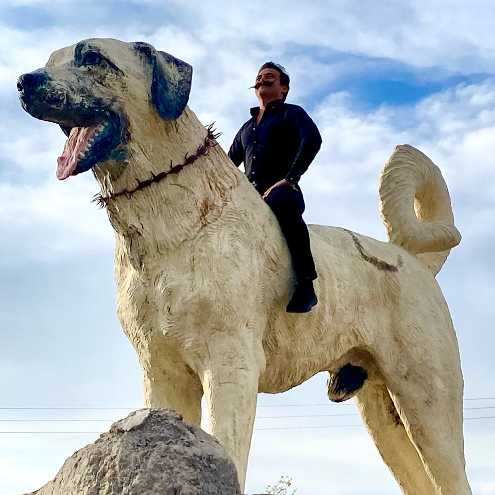 Baruthane Pilavcısı on X: Sivas kangal köpeği🇹🇷 sivas kangal  baruthane baruthanepilavcısı t.coOFJ3U62QmI  X