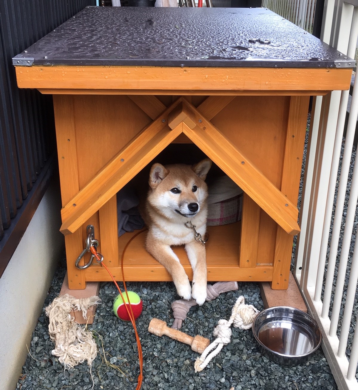 カッサン犬小屋工房 Inunokoya Twitter