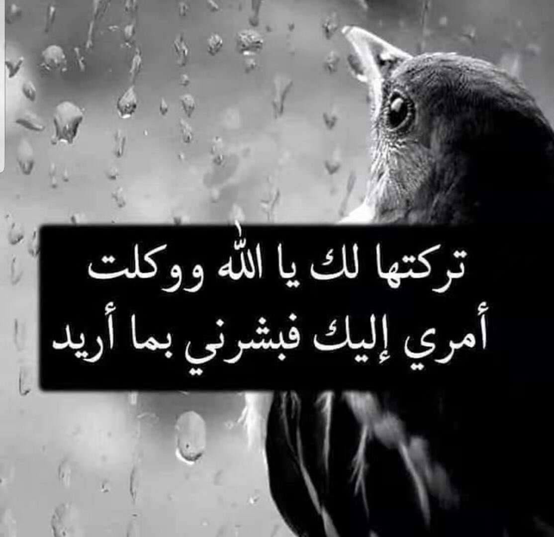 7oor35 tweet picture