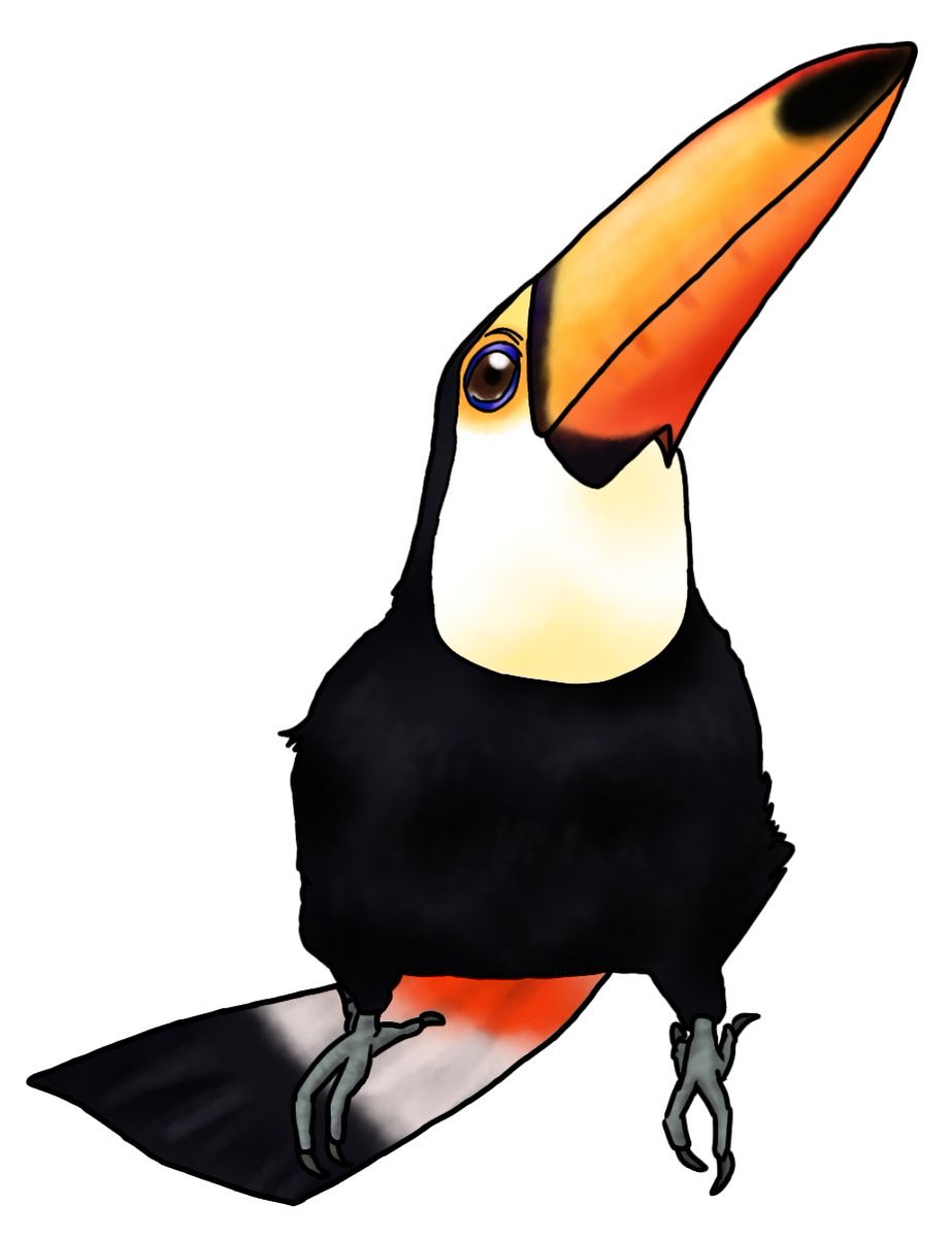Twoucan クチバシ の注目ツイート イラスト マンガ コスプレ モデル Twoucan クチバシ の注目ツイート イラスト マンガ コスプレ モデル