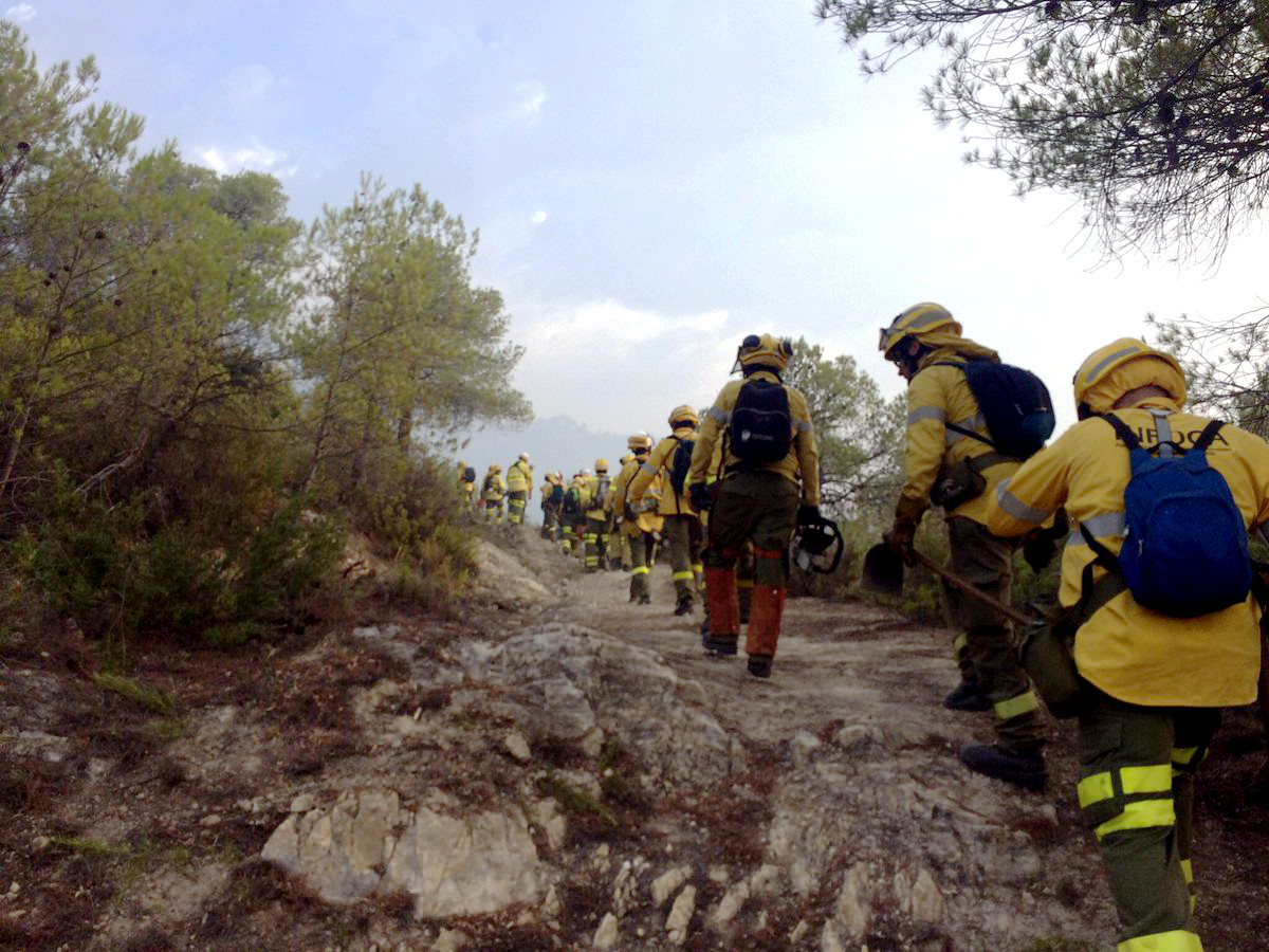 🔝#Andalucía lidera un nuevo proyecto transfronterizo con #Portugal para fortalecer los sistemas de prevención y extinción de incendios forestales.

👉El objetivo es avanzar hacia una gestión sostenible e integrada y crear empleo rural tras la pandemia.

🌐lajunta.es/32b9d