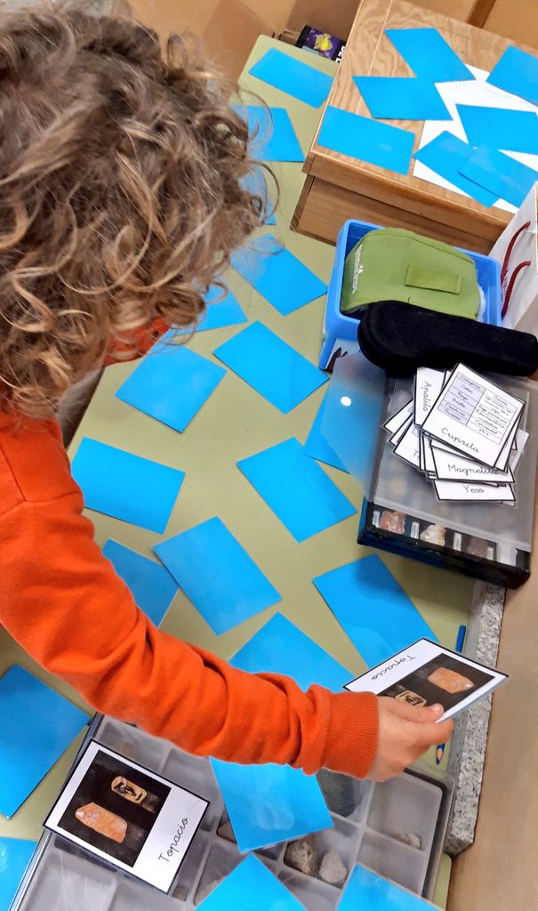 En un aula multitarea es más fácil aplicar el Diseño Universal para el Aprendizaje y el trabajo multinivel.
Hay que superar la idea de todo el alumnado haciendo lo mismo a la vez todo el tiempo.

La #EducaciónInclusiva beneficia a todo el alumnado. A todo.

#SAAC
#DUA