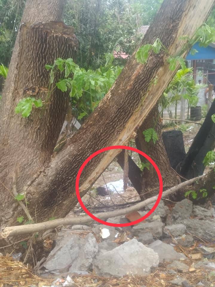bg_rubydd's tweet photo. tw // death
An unidentifiable dead body was found near the railway on Yadanar Thiri road in Mawlamyaing.
NUG ASSEMBLE
#Apr17Coup
#WhatsHappeningInMyanmar https://t.co/Hih9D9O03x