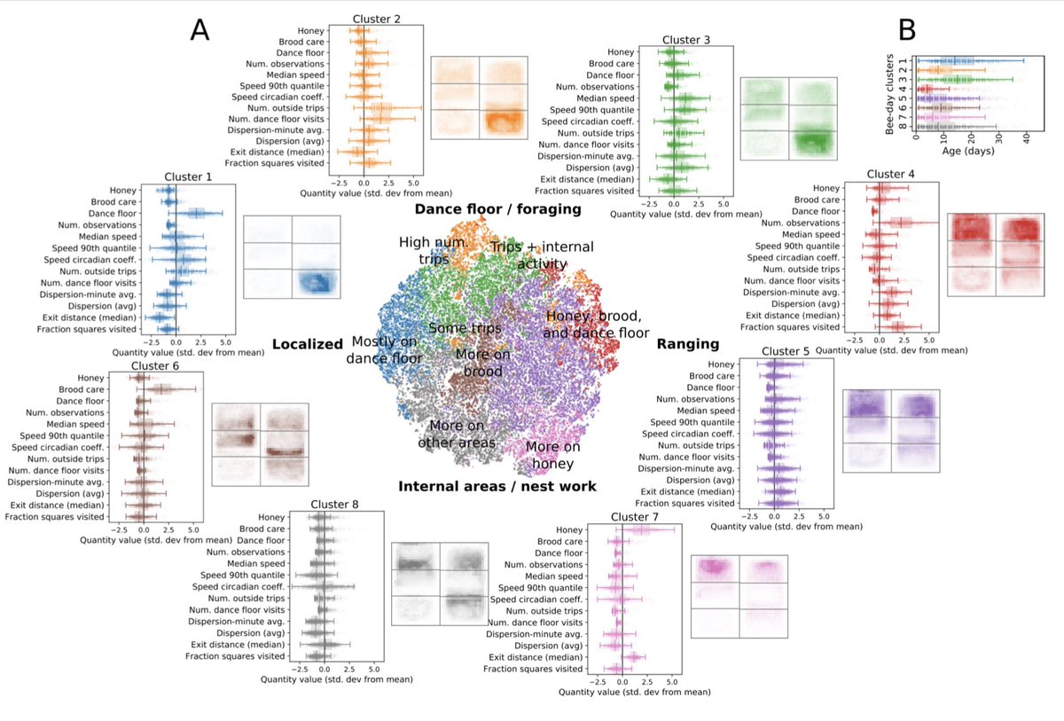 Iain Couzin (@icouzin) on Twitter photo Automated tracking of 4,201 bees at 3Hz over their lifetime reveals 2 axes of behavioral variation, lifelong consistencies in movement patterns and how colonies respond to sudden environmental change! <a href="/SmithBeeLab/">Michael Smith</a> <a href="/j_d_davidson/">Jacob Davidson</a> <a href="/tlandgraf/">Tim Landgraf</a> <a href="/nebww/">Benjamin Wild</a> <a href="/DDormagen/">David Dormagen</a> biorxiv.org/content/10.110… Automated tracking of 4,201 bees at 3Hz over their lifetime reveals 2 axes of behavioral variation, lifelong consistencies in movement patterns and how colonies respond to sudden environmental change! <a href="/SmithBeeLab/">Michael Smith</a> <a href="/j_d_davidson/">Jacob Davidson</a> <a href="/tlandgraf/">Tim Landgraf</a> <a href="/nebww/">Benjamin Wild</a> <a href="/DDormagen/">David Dormagen</a> biorxiv.org/content/10.110…