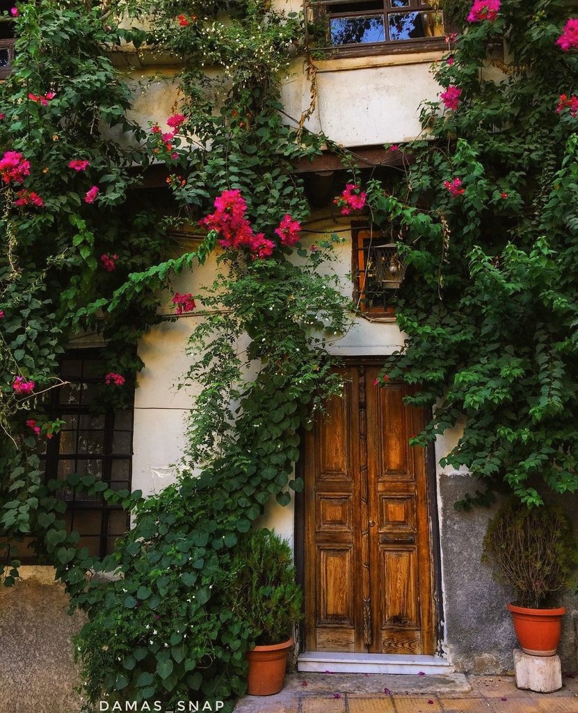 Damascus | دمشق

Damas Snap📸