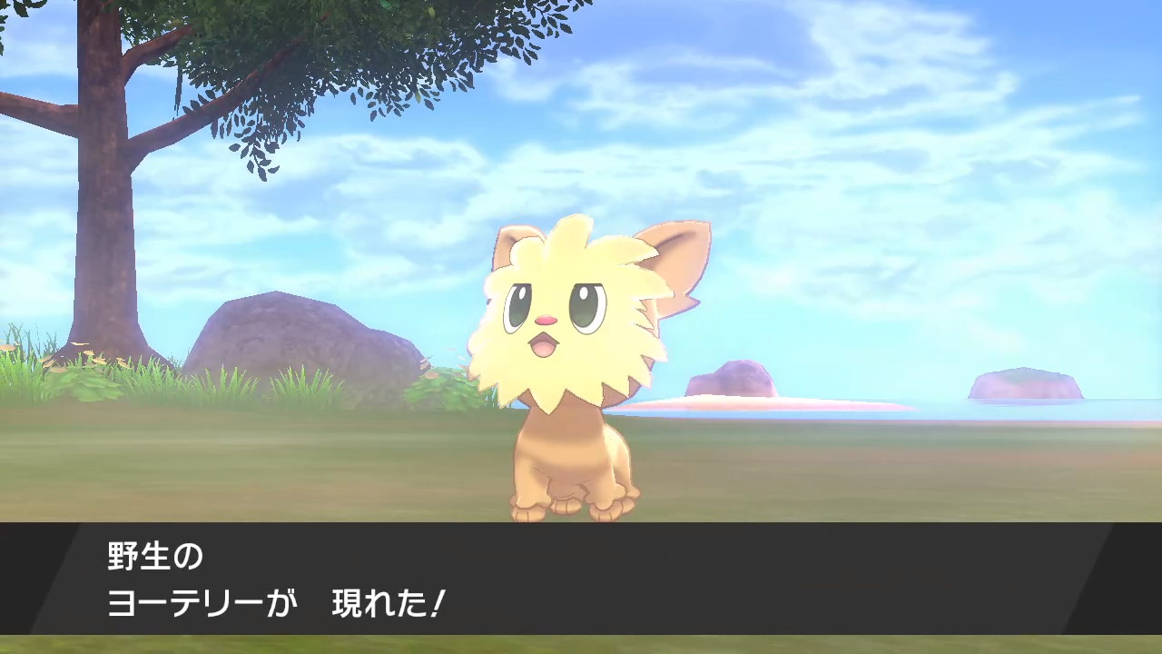 Ss2 色報告 剣盾野生 色ヨーテリー 昨日光ったものだけどすっかり忘れていた ヨーテリーは6世代7世代より 剣盾のほうが色 の違いが分かりにくい気がする ポケモン剣盾 Nintendoswitch T Co 0noim2wvvp Twitter Ss2 色報告 剣盾野生 色ヨーテリー 昨日光ったものだけどすっかり忘れていた ヨーテリーは6世代7世代より 剣盾のほうが色 の違いが分かりにくい気がする ポケモン剣盾 Nintendoswitch T Co 0noim2wvvp Twitter