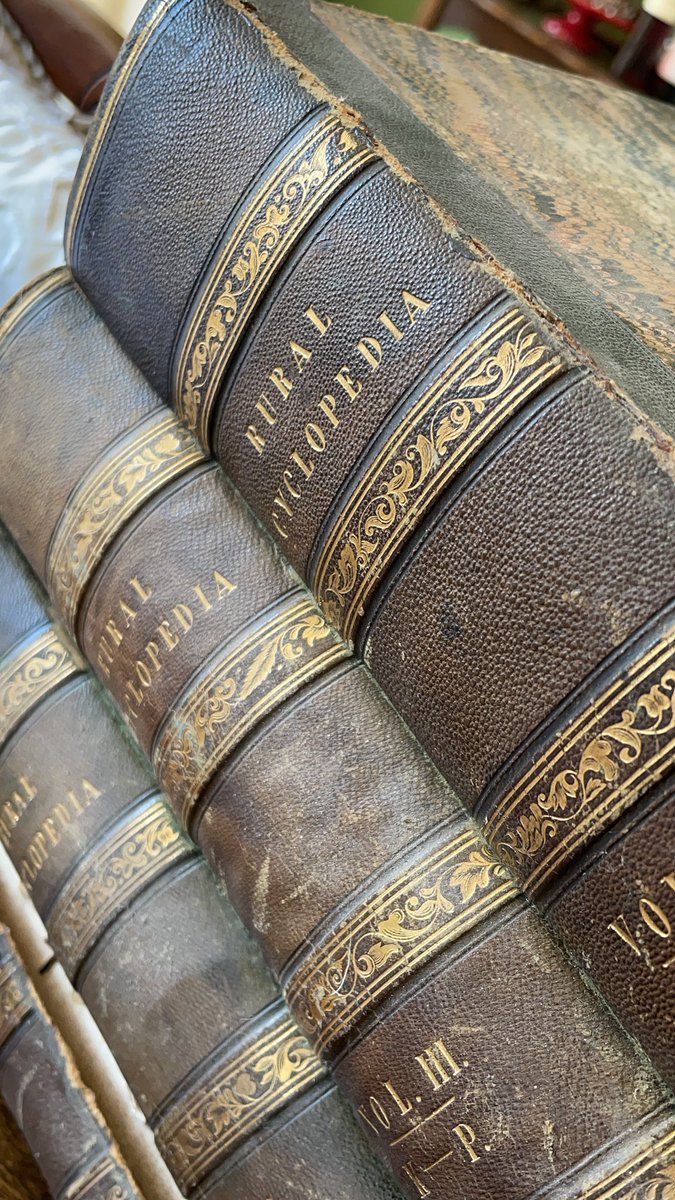 Dad just gave me this Rural Encyclopaedia from 1849. It describes the importance of root management in asparagus, especially when forcing. 

In 1849!!!