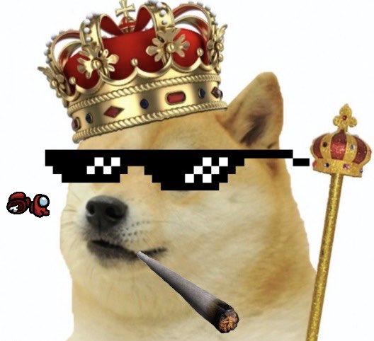 $DOGE DROPS 🐶💰 tweet media