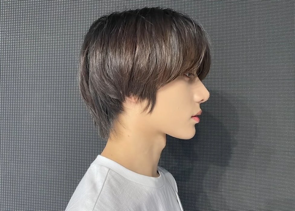 korean apple cut hairstyleTikTok Search