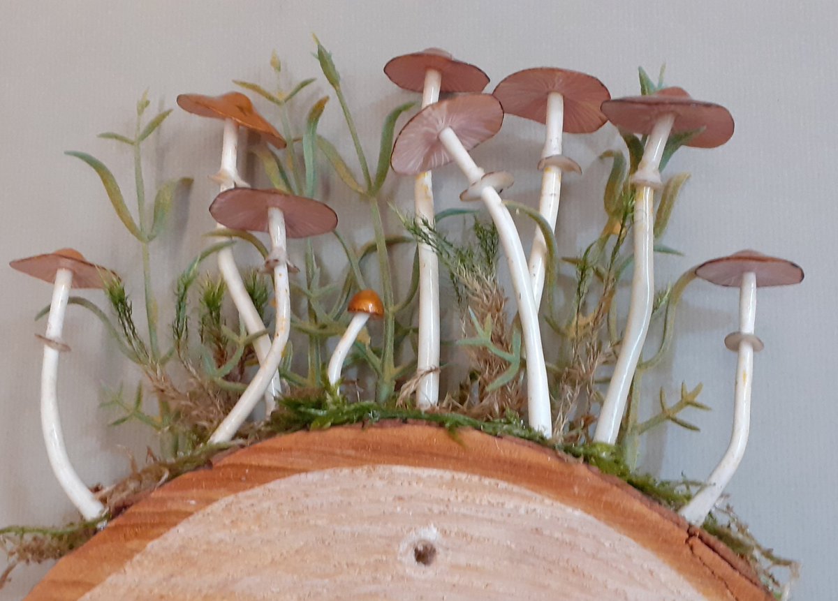 carlyebaines's tweet photo. All #fungi themed, what a surprise lol
Door plaques, towel or coat racks and tiny tea-light holders
#mushrooms #fungi #usefulart
#art
Will upload on my Etsy later
(In my bio) https://t.co/vG2c3P2PGU