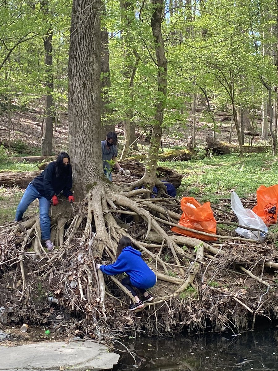 WWESPrincipal1's tweet photo. 1/3: Proud to support and see so many participants at the @wwes_pta Community Cleanup Project conducted at the Matthew Henson Trail. Our communities deserve care taking too! 🙌🏽🎉🐾🌿❣️#wildcatscare @WheatonWoods https://t.co/eXOLyIsQ2X