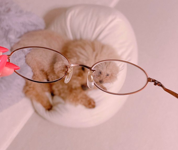 私のメガネの度、そーとー強いw https://t.co/VxUdN8vtY6<a href="/tag/ps4share"class="tags"><span>#ps4share</span></a>