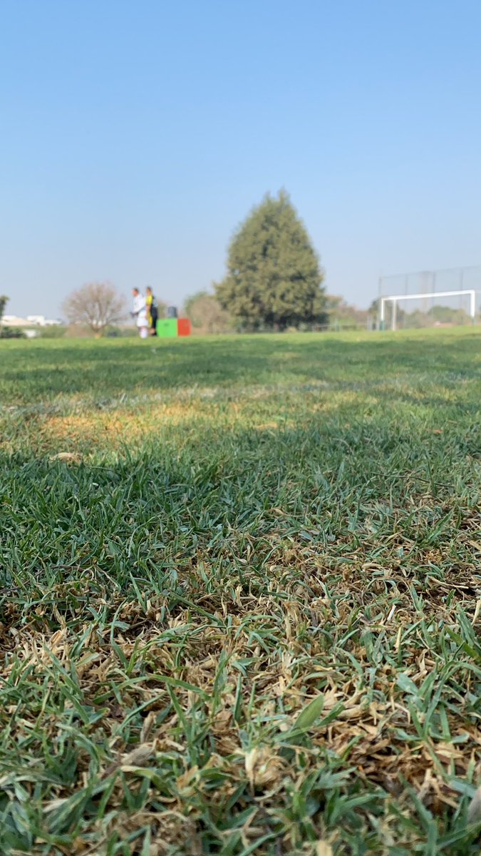 ¡En la busca de la foto perfecta!