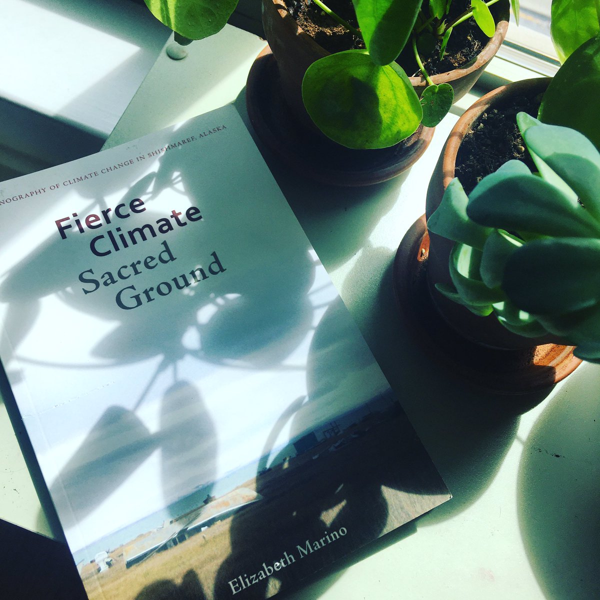 MeghaMaj's tweet photo. Learning so much from this ethnography of climate change in a small town called Shishmaref, Alaska. A chilling chapter title asks: We knew the island would disappear, so why do we live here? https://t.co/oVumc3A6Zl