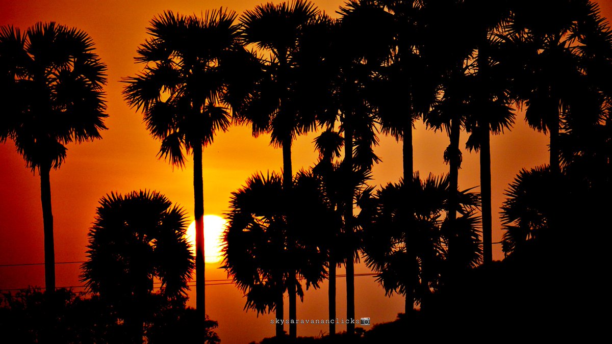 sky_saravanan's tweet photo. #sony #sonyalpha #skysaravananclicks #sunset #skfc #skysaravanan #vikatanpixel https://t.co/KUzDkY7TuY