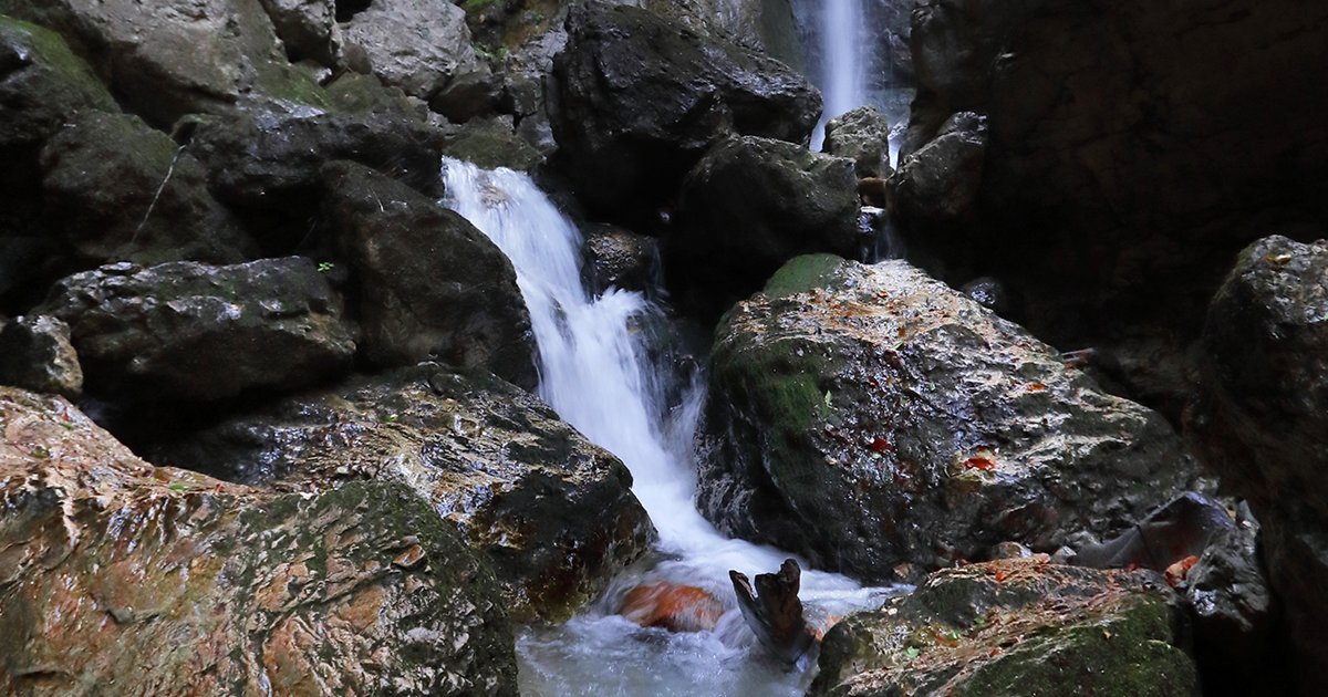 La Lombardia è una terra non solo di placidi laghi, ma anche di spumeggianti cascate. Ce ne sono diverse vicino a Varese, la più alta è in Valseriana, e una è stata descritta anche da Leonardo: sai riconoscerle in queste immagini?
bit.ly/3fno8ro
#inLombardia