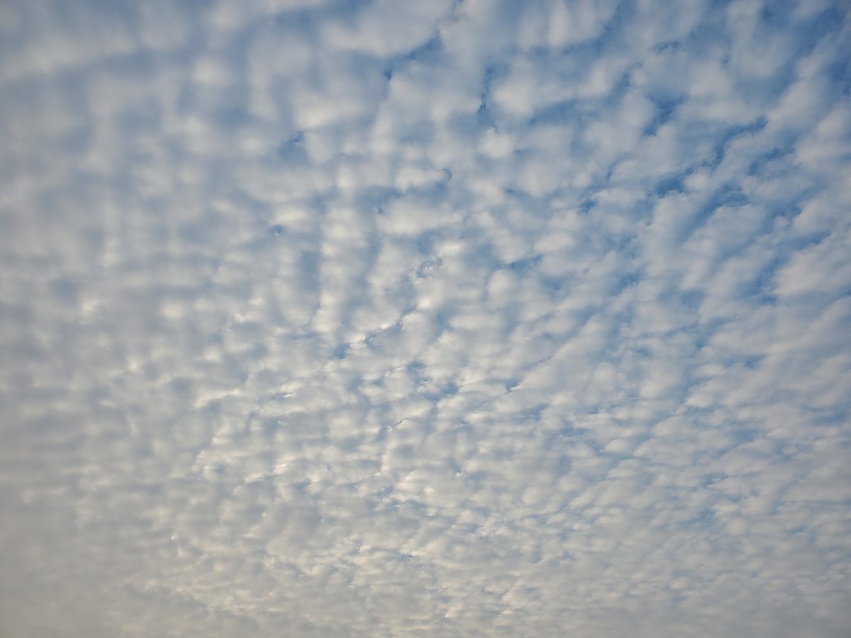 reaume_beverly's tweet photo. Pretty cool clouds here in Fort Pierce #stormhour #clouds #fortpiercefl #skyporn https://t.co/HmKjHMVKpN