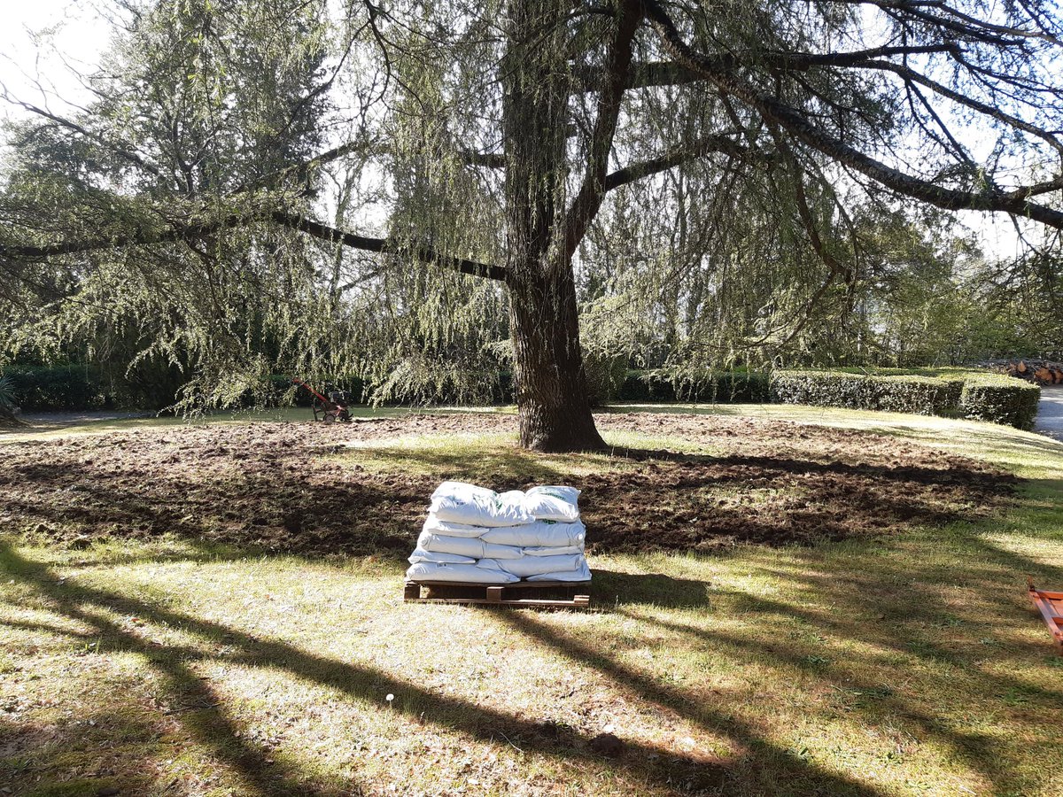 dendrontweet's tweet photo. Ieri una giornata di lavoro insieme agli #alberi. Palo iniettore, interramento di humus di lombrico su terreno sabbioso-limoso, miglioramento e arricchimento del suolo tramite sostanze biostimolanti e trichoderma. https://t.co/uGTN3zoSE2