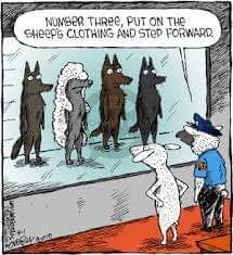 melicharuv's tweet image. #sheephumor