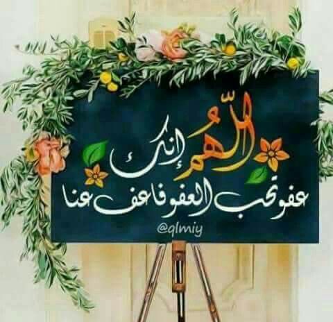 مهاوش tweet media