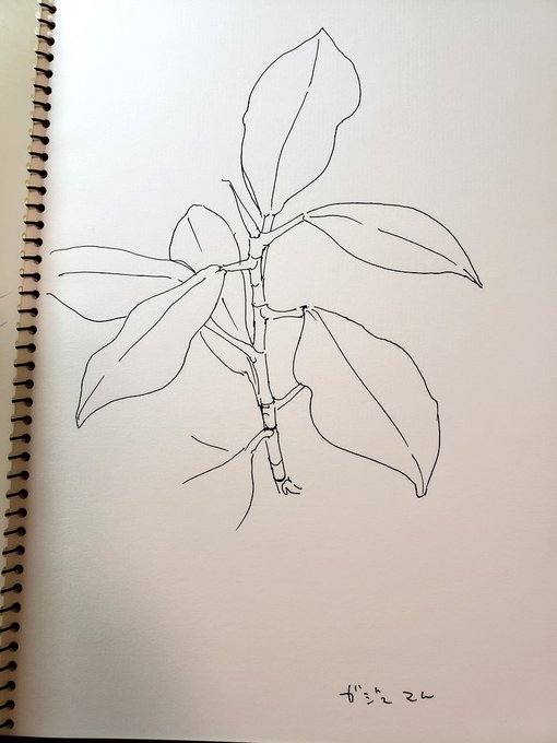 æåãã¹ã±ããã£ãŠã©ããããã âŠ?ããšçŠããªããå
ãšåœ±ã远ã£ãŠãããã ãã©ããã³ãå€ããŠã·ã³ãã«ãªæç·ã«ãããã¹ã«ã¹ã«ãšèŒªéãåŒããããã«ãªã£ãã®ãé¢çœãã£ãã
èªåã¯ãã£ã±ã"é¢"ãããªããŠ"ç·"ã®äººéãªãã ãªãã£ãŠå確èªããã
ãããŠæ€ç©ã®èŠåæ§ã«ãŠã¯ãŒ!ãŠè奮ããã ãããâŠ