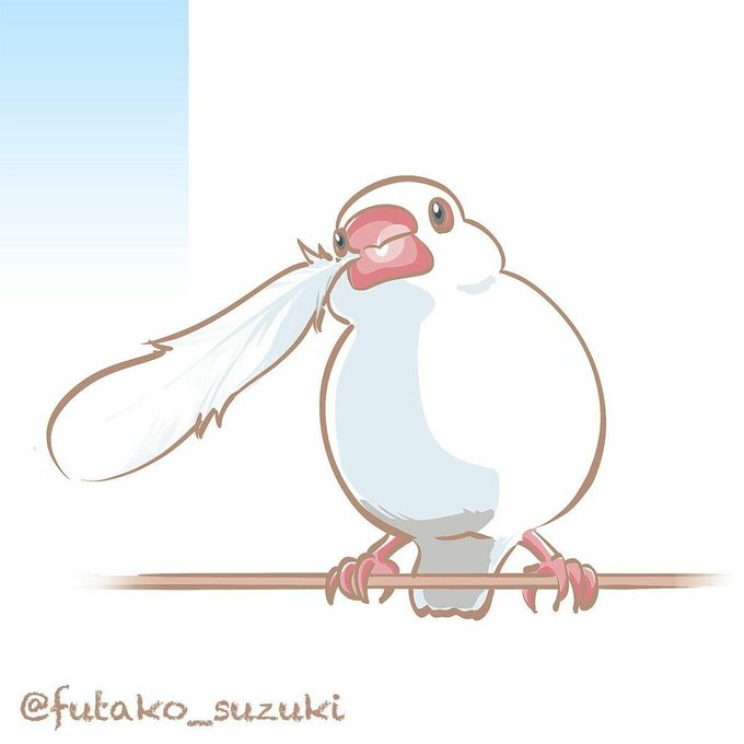 白文鳥のtwitterイラスト検索結果 白文鳥のtwitterイラスト検索結果