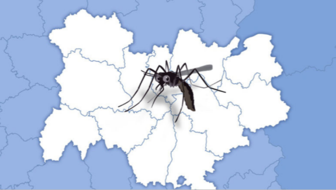 saintchamond's tweet image. // Luttons contre le Moustique Tigre //

 Il est potentiellement porteur de maladies comme la dengue, le chikungunya ou le zika ⚠️Comment éviter son développement ? 3 règles : bâchez, couvrez, videz !

Évitez les eaux stagnantes, pour plus d'informations : eid-rhonealpes.com