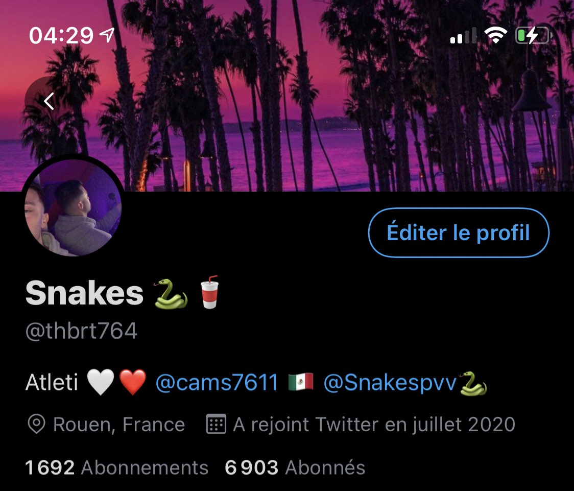 ATM_Snakes's tweet photo. Vous préférez mon profil en bleu ou en violet ? https://t.co/mi86W5lJfC