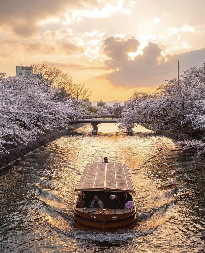 earthcurated's tweet photo. Kyoto, Japan https://t.co/EitGiwCQqv