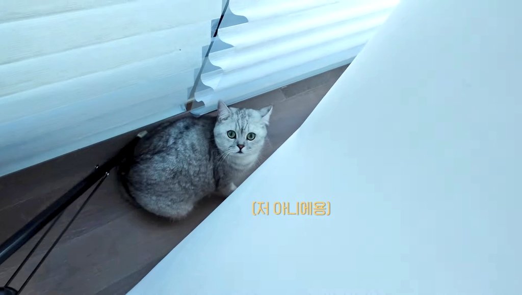 Pinklinn01's tweet photo. คู่หูตัวป่วน ลูอิส & เลโก้
#LILIFILM #LFamilyFilm #LISA
#LALISA #5LBattle https://t.co/nyzWwKCyBk