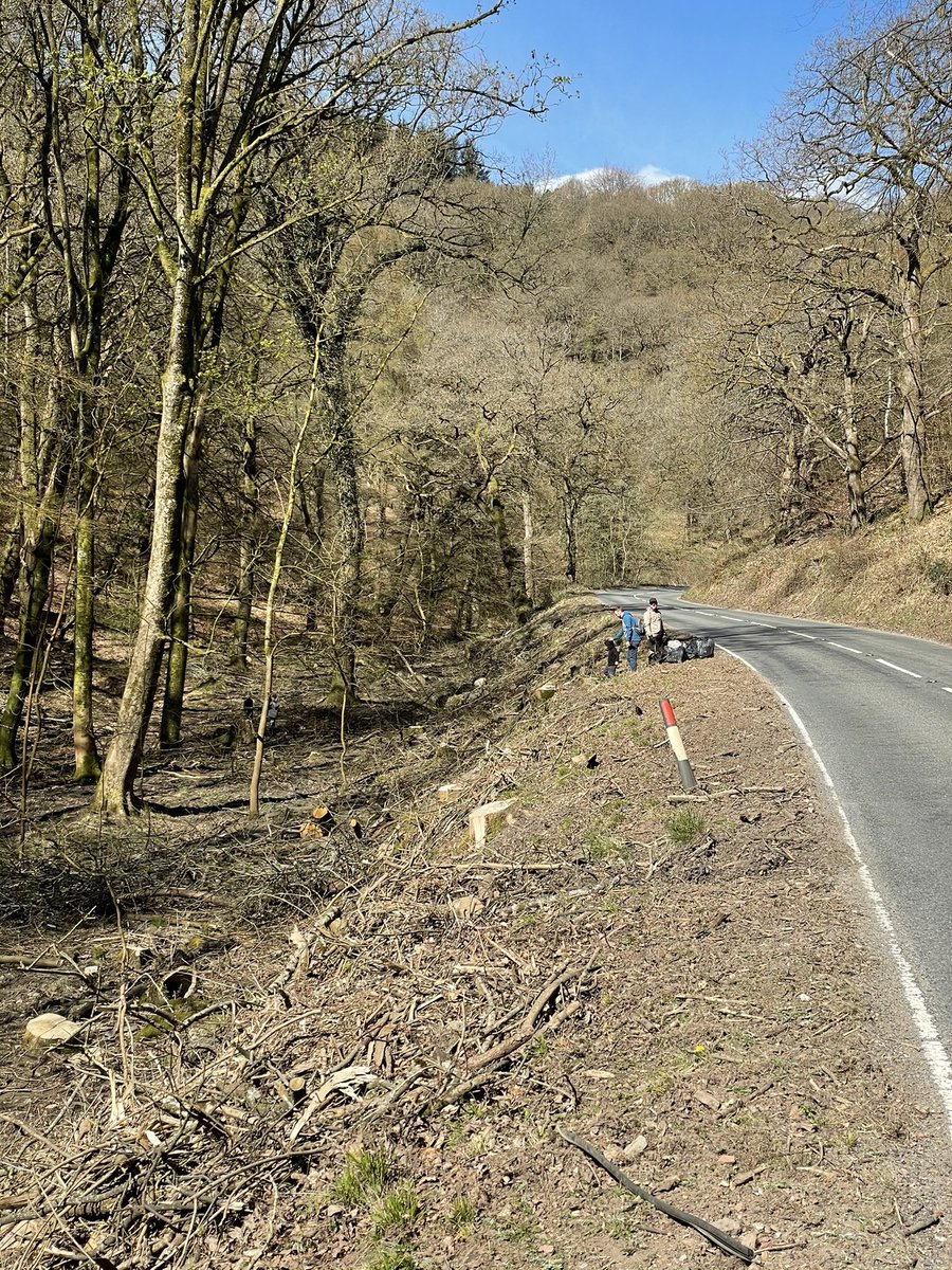 FoDmtb's tweet photo. Thanks lads for helping with the litter picking 🗑🤛 between #Ellwood and #Parkend this morning .  Such a shame people are so disrespectful in such a beautiful part of the uk and #myhome . 🐗🌳🌲. @VisitDeanWye @ForestryEngland @FoDDC https://t.co/8jvrkkW4ws