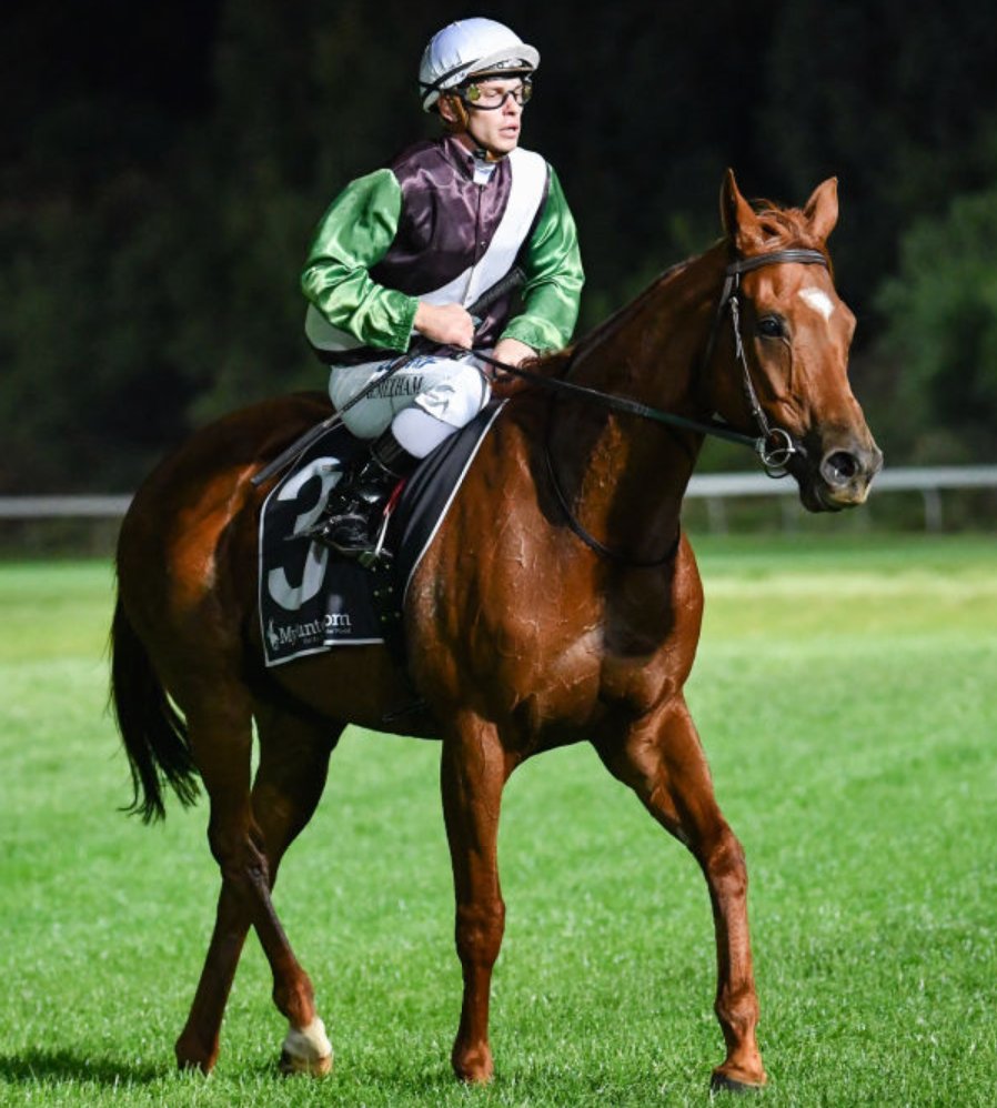 anita_stanaway's tweet photo. 3 of our ex racehorses are all competing tomorrow. We are so proud of them #craftycruiser #hardway #knucklemanna #kiwistables @Crafty_Cruiser @RV_OffTheTrack https://t.co/sIUrjDxlzW