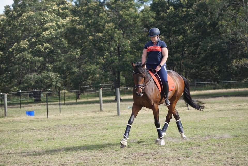 anita_stanaway's tweet photo. 3 of our ex racehorses are all competing tomorrow. We are so proud of them #craftycruiser #hardway #knucklemanna #kiwistables @Crafty_Cruiser @RV_OffTheTrack https://t.co/sIUrjDxlzW