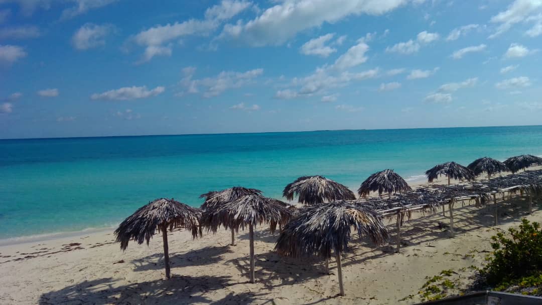 Una playa de ensueño
#CubaDestinoSeguro #DestinosGaviota #Vacaciones2021 #RocHotels #RocHotelsCuba #GaviotaHoteles #RocLagunasDelMar en #CayoSantaMaria