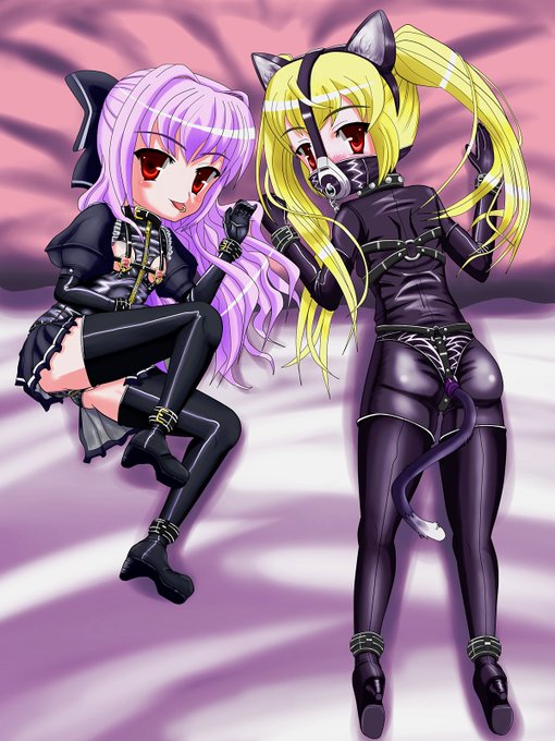 twitterの不具合発生で時空が歪んでタイムスリップしたみたいなので、pixivに一番最初に上げた絵をあげてみる(無理やりが過ぎる)
いつかリメイクしたい('ω`) 