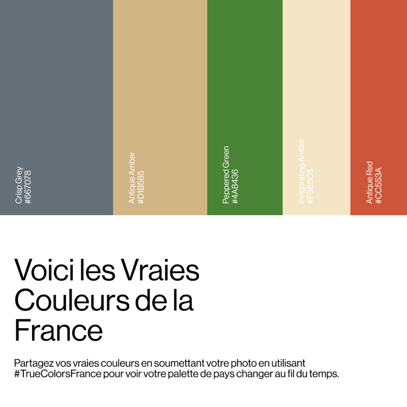 oneplus_fr's tweet photo. Vous êtes-vous déjà demandé ce que pouvaient être les #TrueColorsFrance ? Voilà ! Mais elles peuvent changer en fonction de la photo que vous partagez avec #TrueColorsFrance .