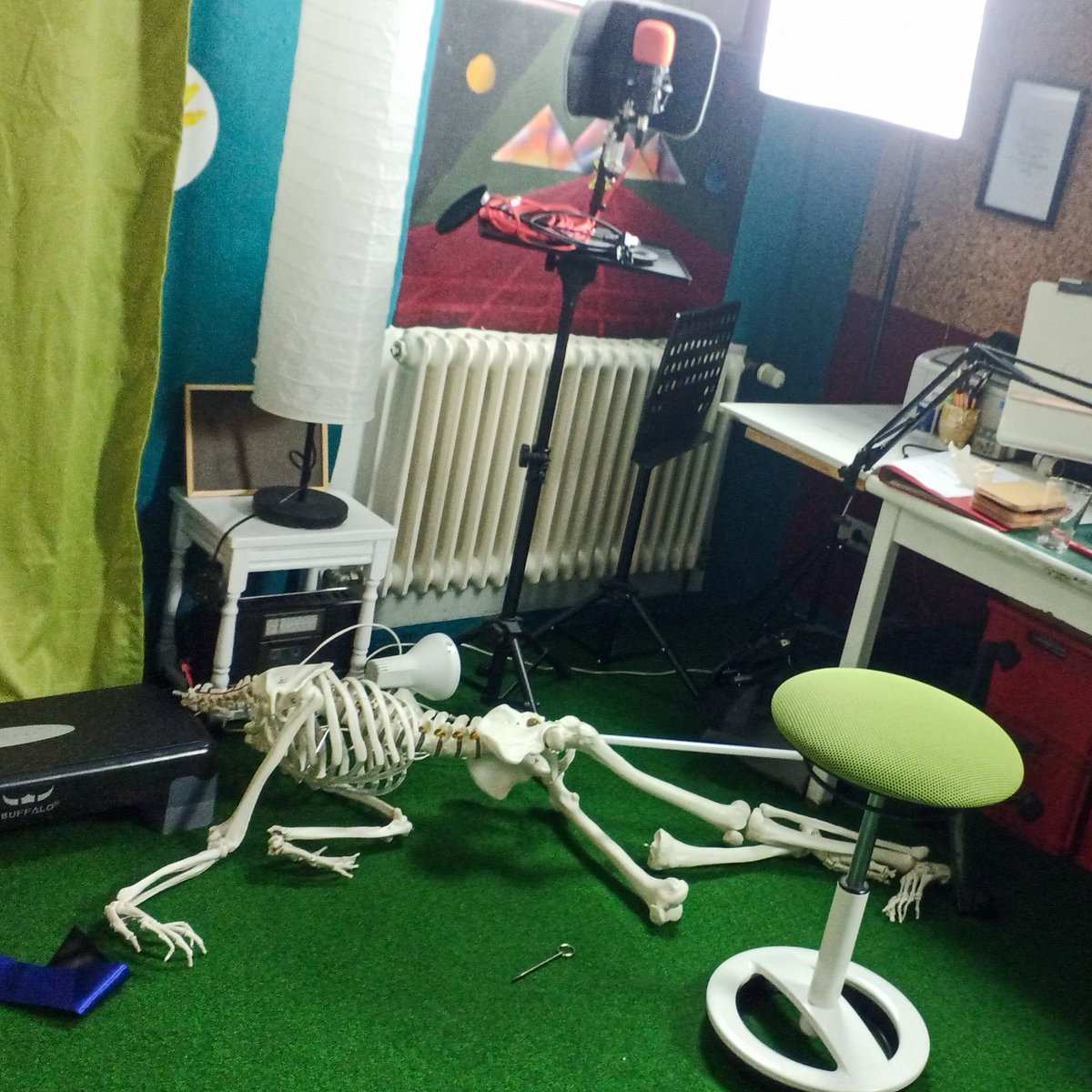 RosiWuertz's tweet photo. ☠️ Mein Assistent Dr. Knut nach dem heutigen Präsentations- und Stimmtraining! Du warst toll, lieber ☠️Knuti und ich durfte sehr viel lernen! #Stimmtraining @UniBonn #eTutorin https://t.co/mReAUhqixY
