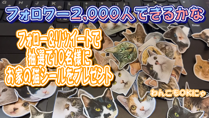 shinsyuuneko's tweet photo. フォロー&amp;RTで抽選で10名様にプレゼント♪
応募締切　2021/4/25
フォロワー2,000人目指す企画。
頂いたお写真でシールを作成し郵送でプレゼント。
（ご自身が撮影した写真に限ります。）
当選者には4/26にDMでお知らせ。

乳母が一生懸命に作ります。よろしくお願いします。 https://t.co/D7sgDcmbn1
