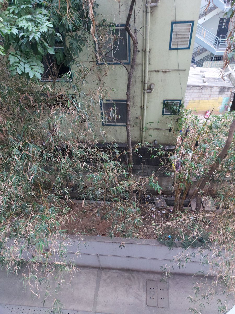 Swaraj Basu (@projectbasu) on Twitter photo I live in SJR Spencer. Building sharing boundary wall often drops garbage within SJR compound. Very Unhygienic! Please help. <a href="/BbmpEast/">BBMPEastZone</a> I live in SJR Spencer. Building sharing boundary wall often drops garbage within SJR compound. Very Unhygienic! Please help. <a href="/BbmpEast/">BBMPEastZone</a>