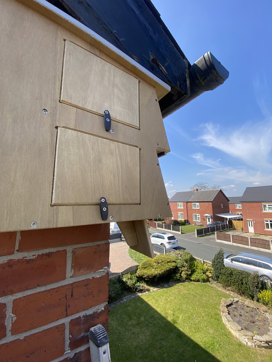 Pleased to get this corner double up in Castleford today.Wakefield district housing have damaged this colony with re-roofing but Lorraine has 3 pairs already and we funded these 2 extra nesting places through our pin badge sales. Can you spot the existing nests? (White streaks)