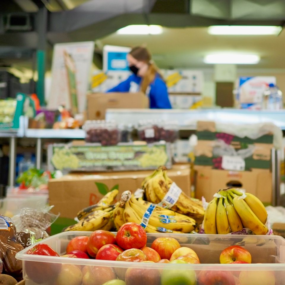 Have you ever needed help with with food but didn't reached out  because you were afraid?? 

You are NOT alone. 

email info@communityactionhouse.org for a confidential appt.

No questions asked.  No proving your need.  Just help.